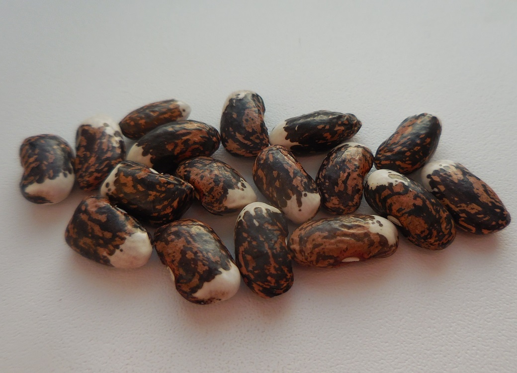 Фасоль Всплеск Волны