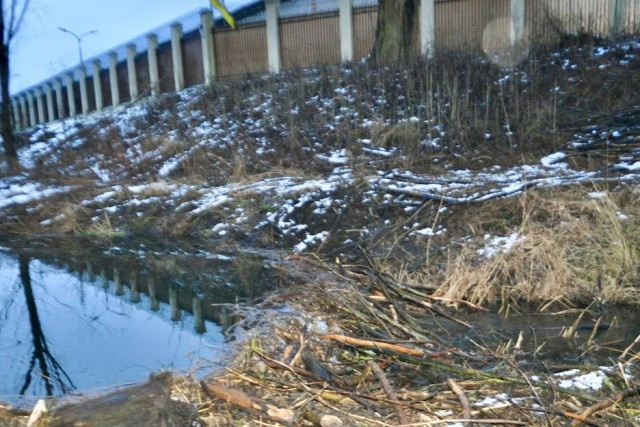   Фото: телеграм-канал регионального Минприроды