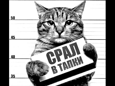 Яндекс-картинки