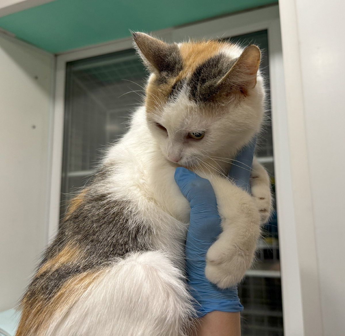 Виллия - дочь