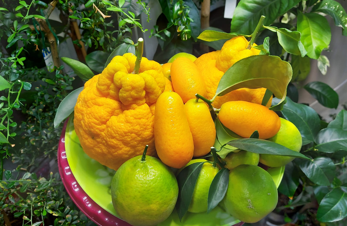 Фото из личного архива Натальи Бондаревой