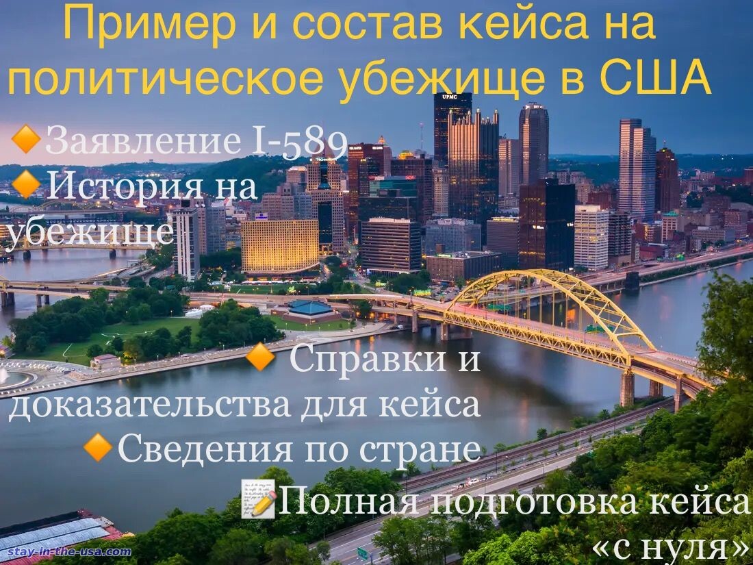 Примеры и состав кейсов и истории на политическое убежище в США 