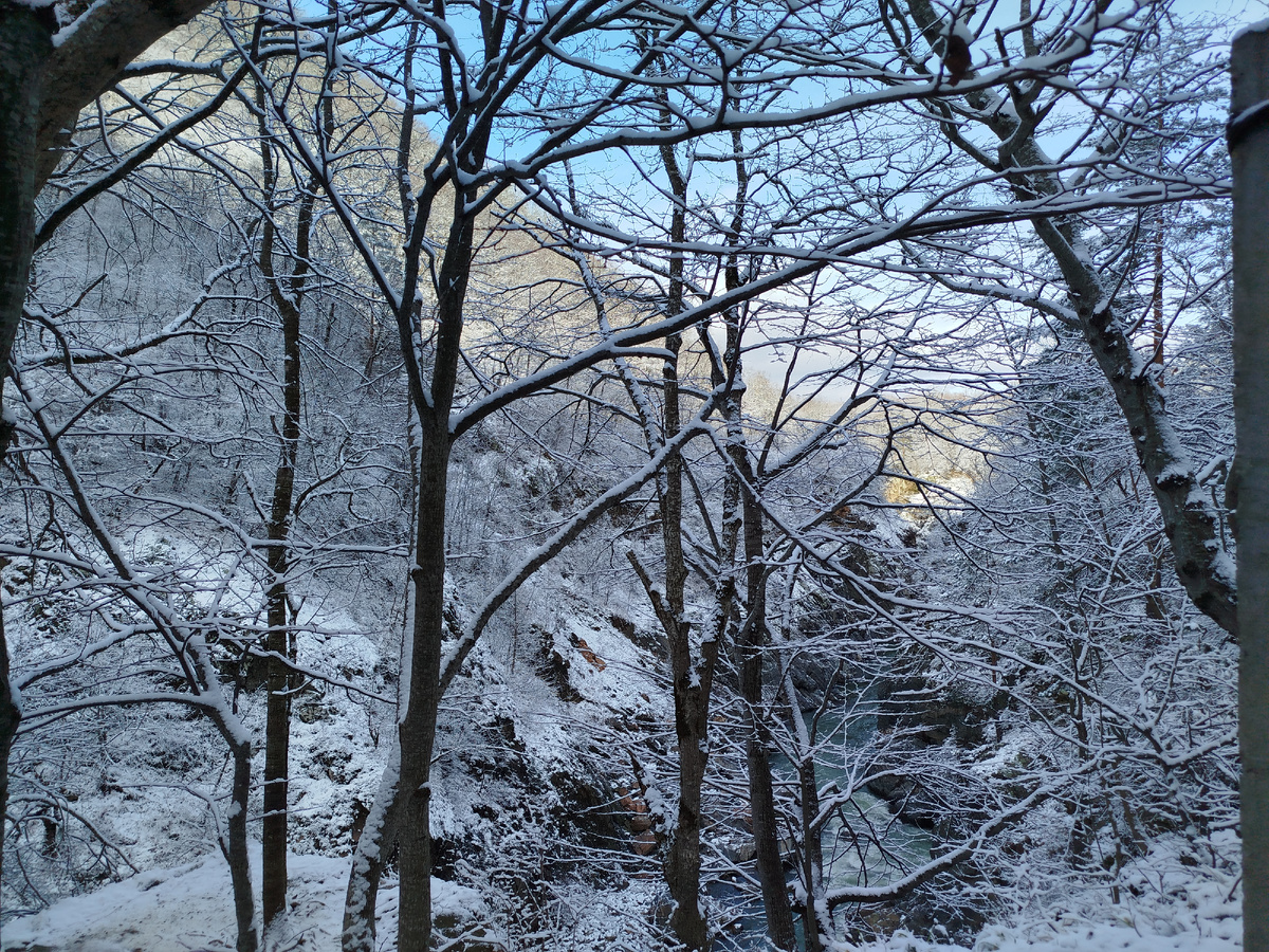 уныние как рукой сняло