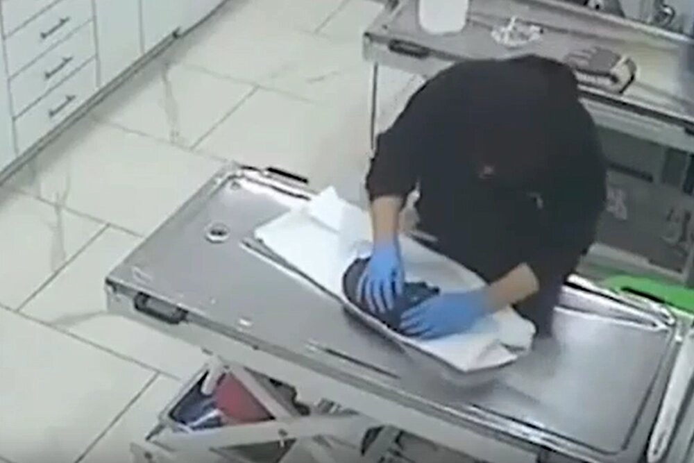    Фото: Кадр из видео