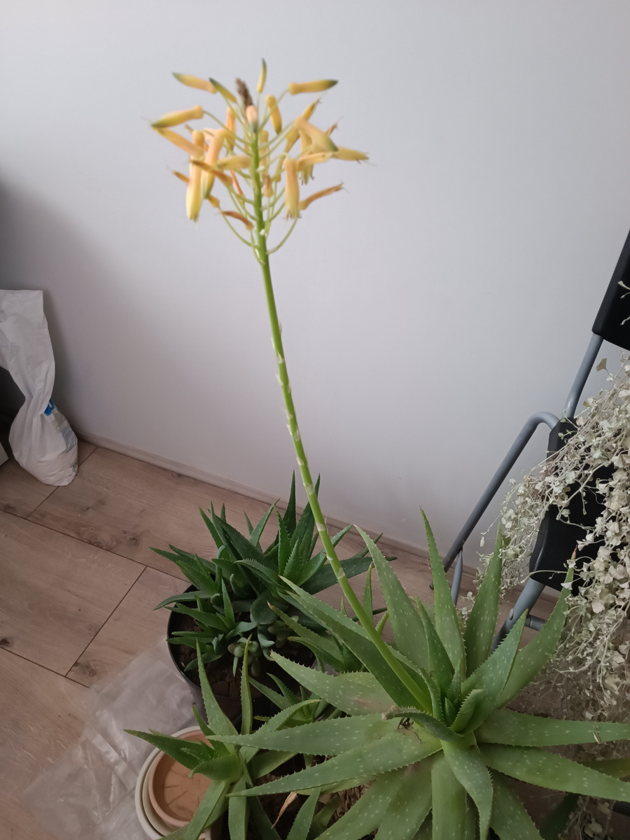 На полу стоят брошенки наши🙈