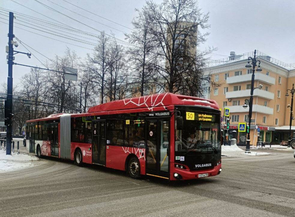    Фото: @SwordKeep, Капибарин Ольга Гилёва