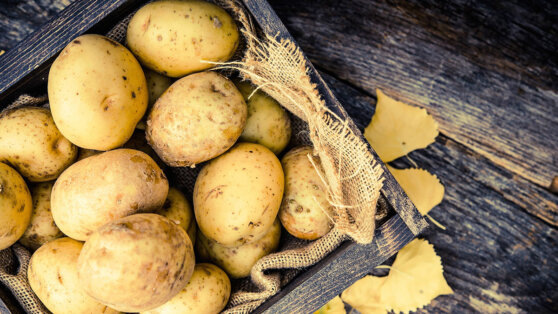    Пролежит до весны: советы экспертов, как правильно хранить картофель в погребе и избежать гниения Ирина Петрова
