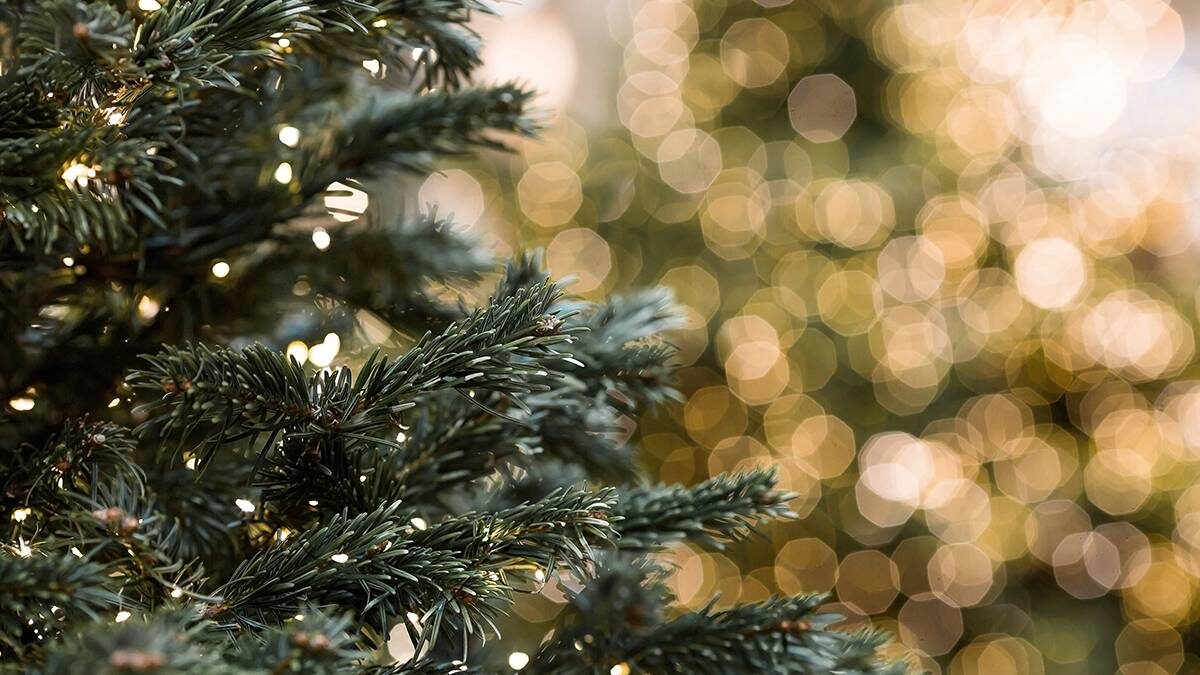    Фото: Shutterstock