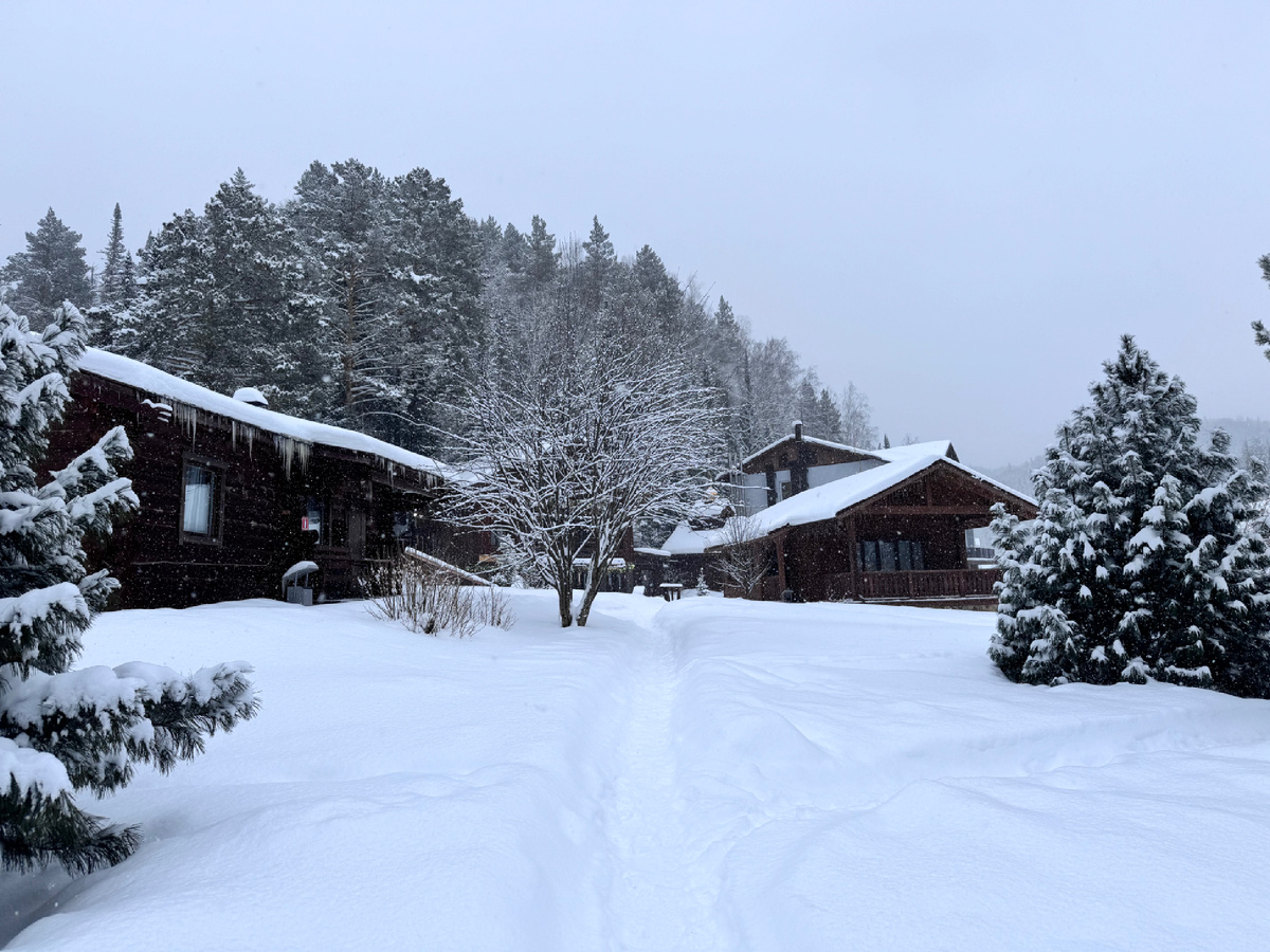 На заимке утром