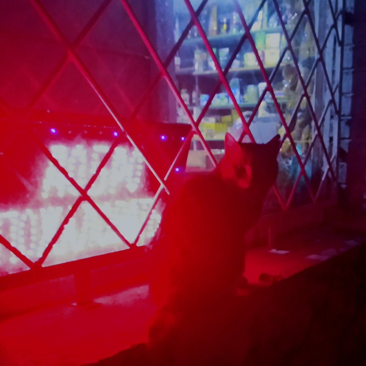 Ориби Каммпирр - Вечерние окна магазинов © Copyright: Ориби Каммпирр