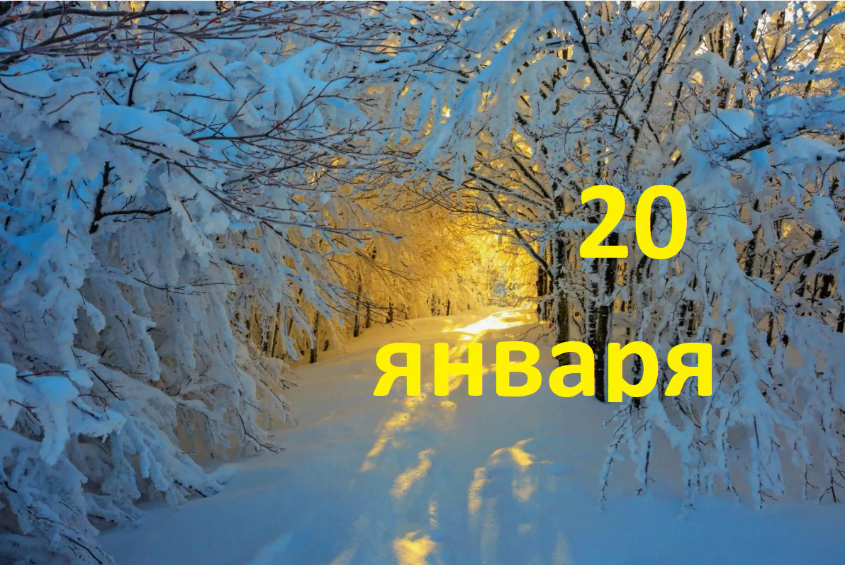 Яндекс картинки