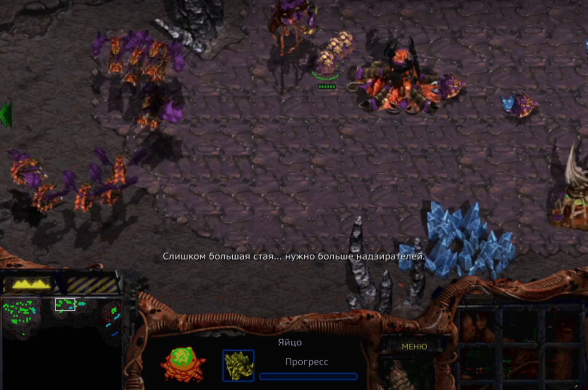 База Зерга.