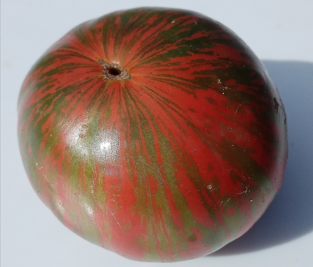 Фото автора.