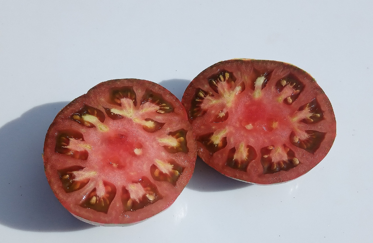 Фото автора.