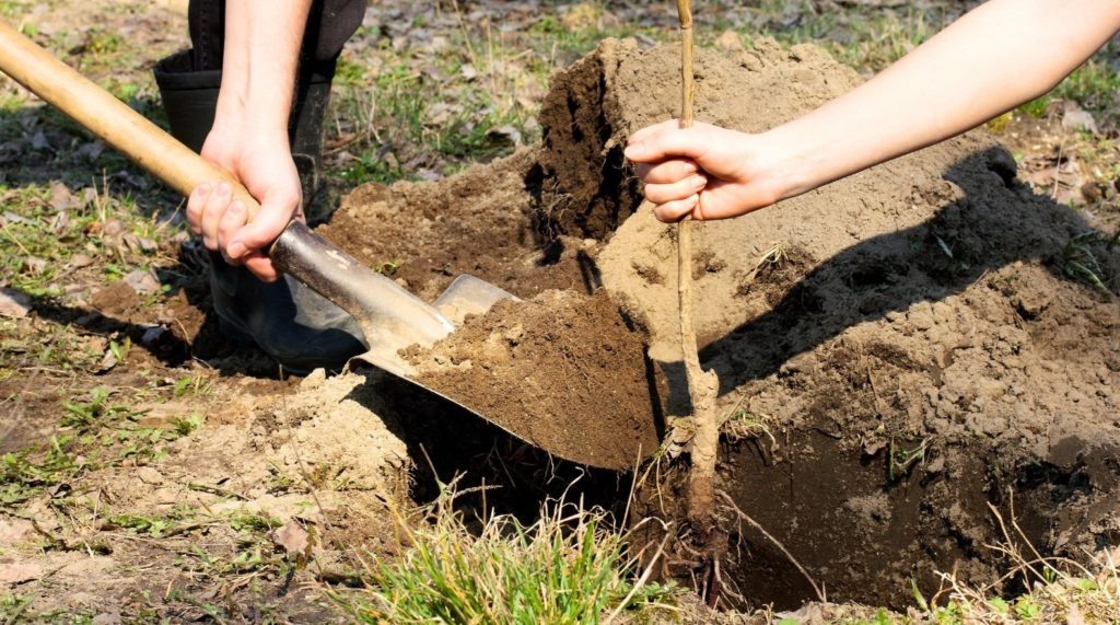 Фото из архива