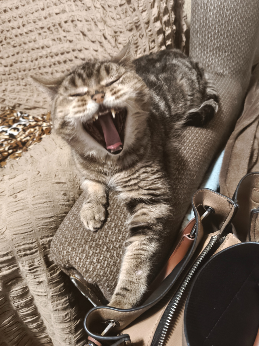 Фото автора. Маня улыбается