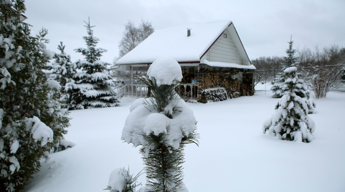 фото: Nikolay Gyngazov/Global Look Press