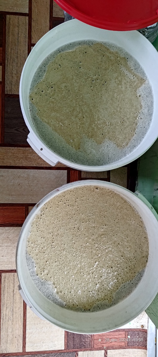 При 30 градусах (плус\минус пару градусов) внёс дрожжи.