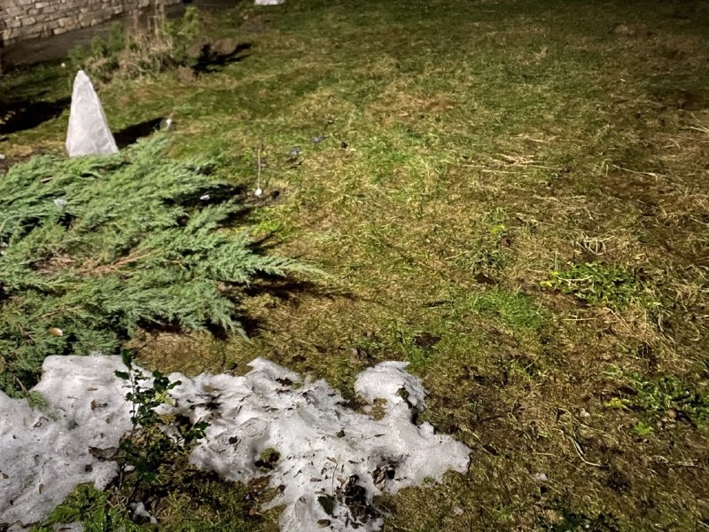 Январь 2025, Подмосковье, фото автора