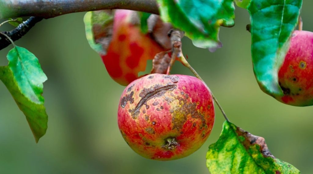 Фото из архива