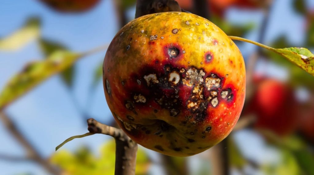 Фото из архива