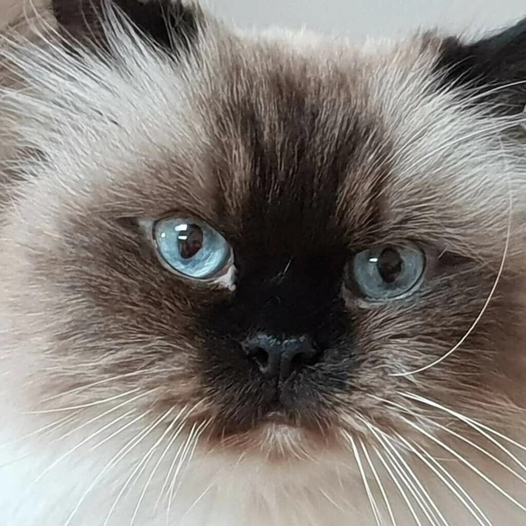 Фото из Интернета.