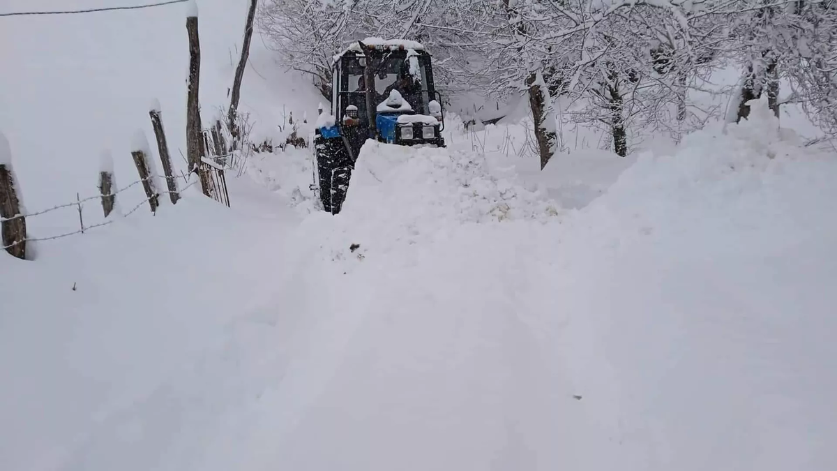 © Roads Department of Georgia