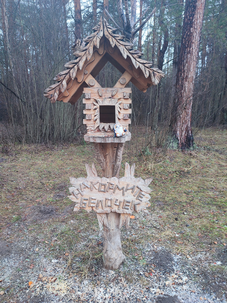 Вот такие домики для белочек там построены