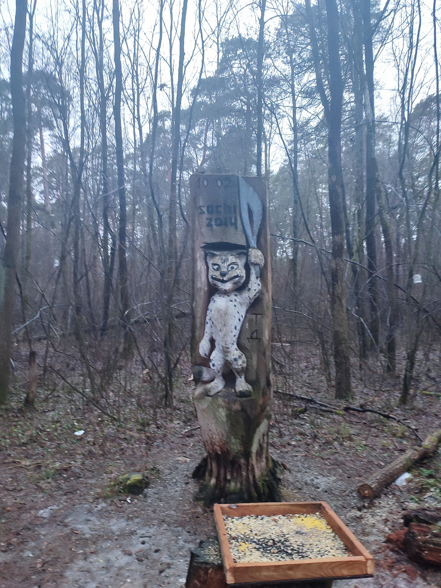 А это произведение искусства мы нашли в глубине леса. 