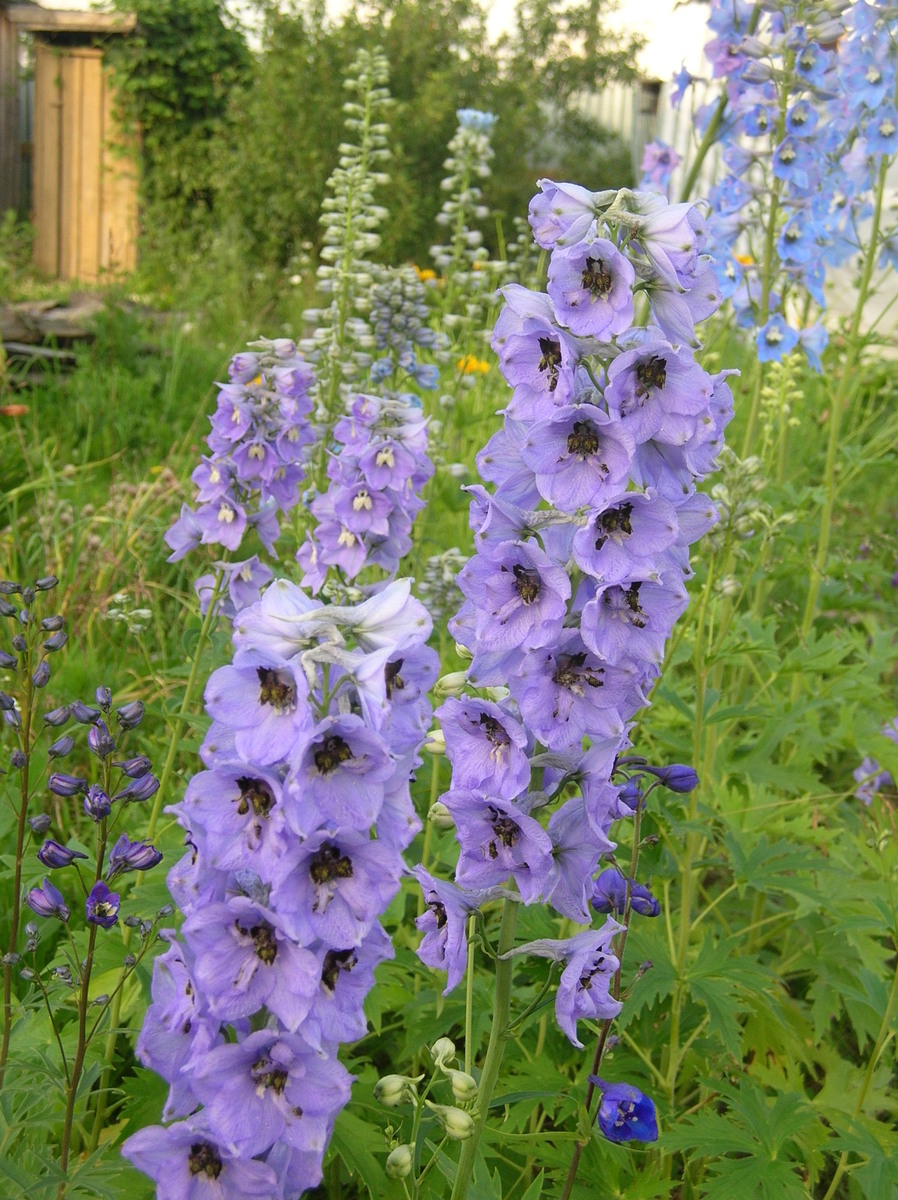 Фото из архива 2006-2008гг