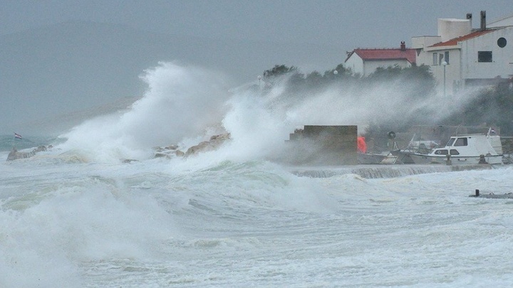 Вот он - борА!