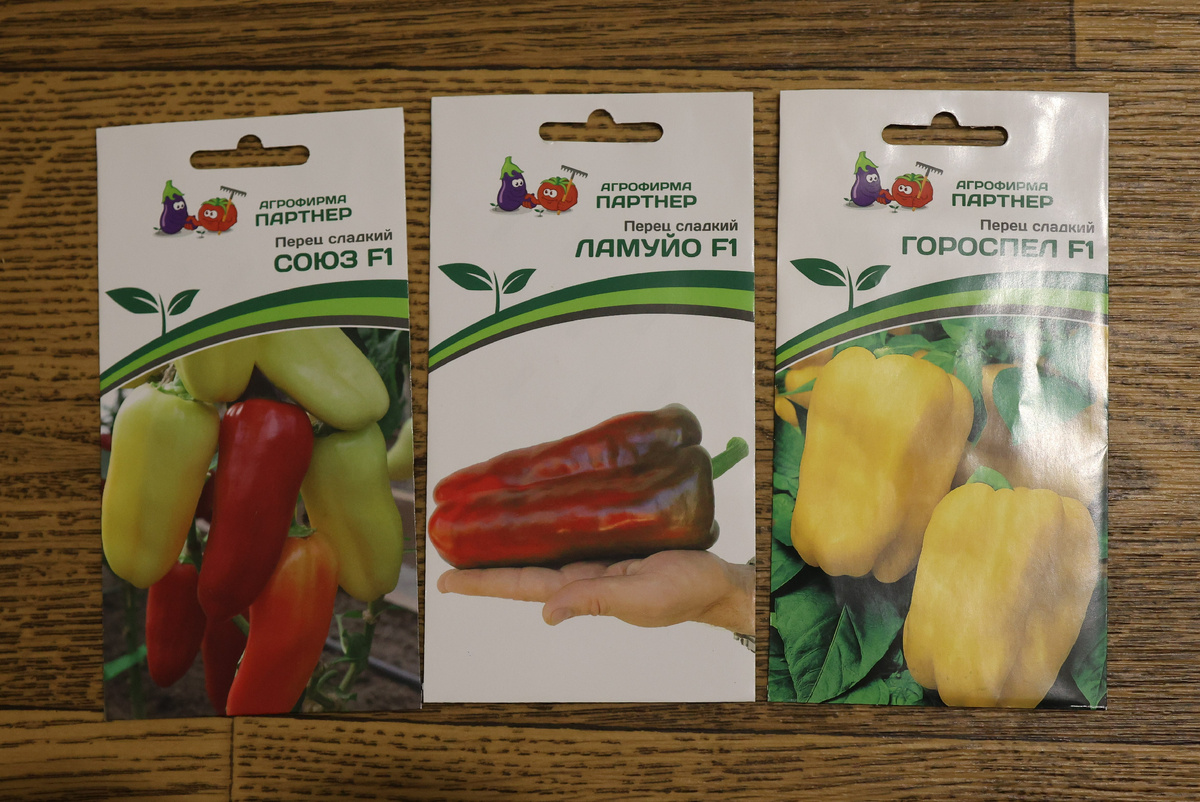 перцы сезон 2025 г