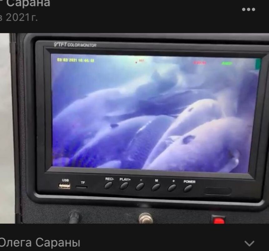 Зимой сазаны и сомы сбиваются в плотные стаи на местах зимовки, где и становятся легкой добычей электроудочников.