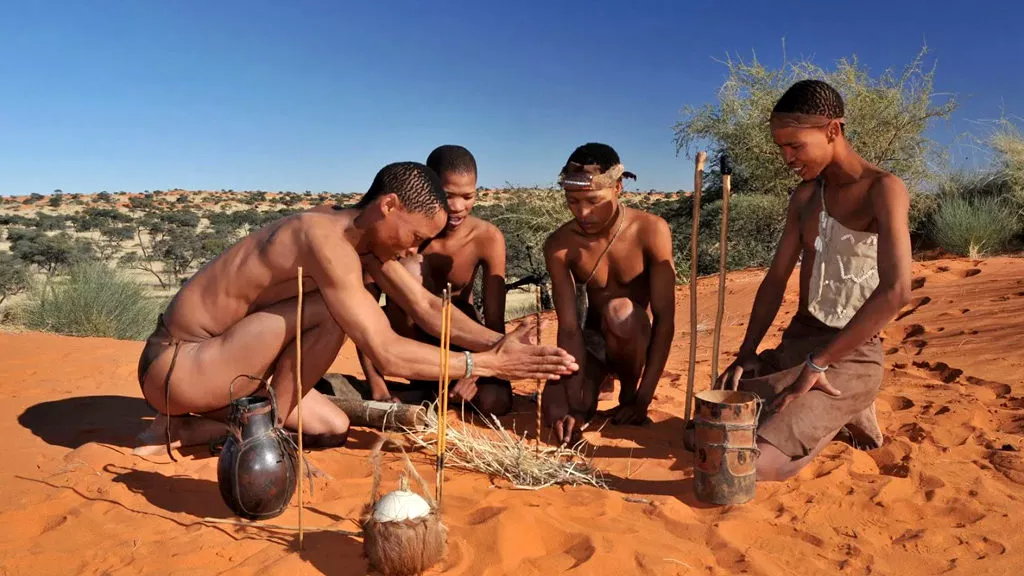 Фото: https://www.shamwari.com