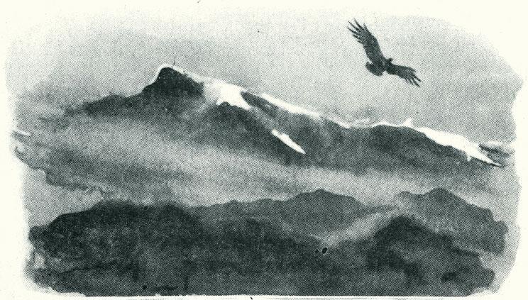 Изображение из открытых источников