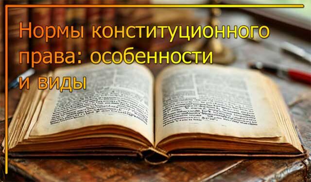    Нормы конституционного права: особенности и виды. Изображение сгенерировано нейросетью.