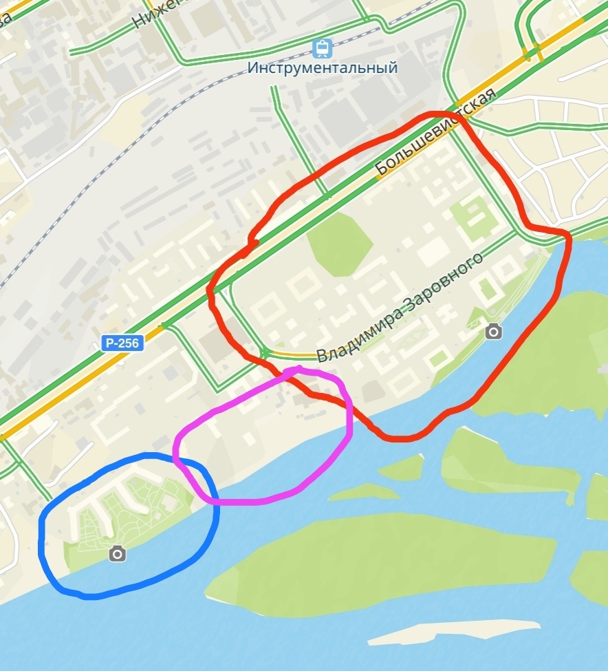 Тигр в разрезе 😂