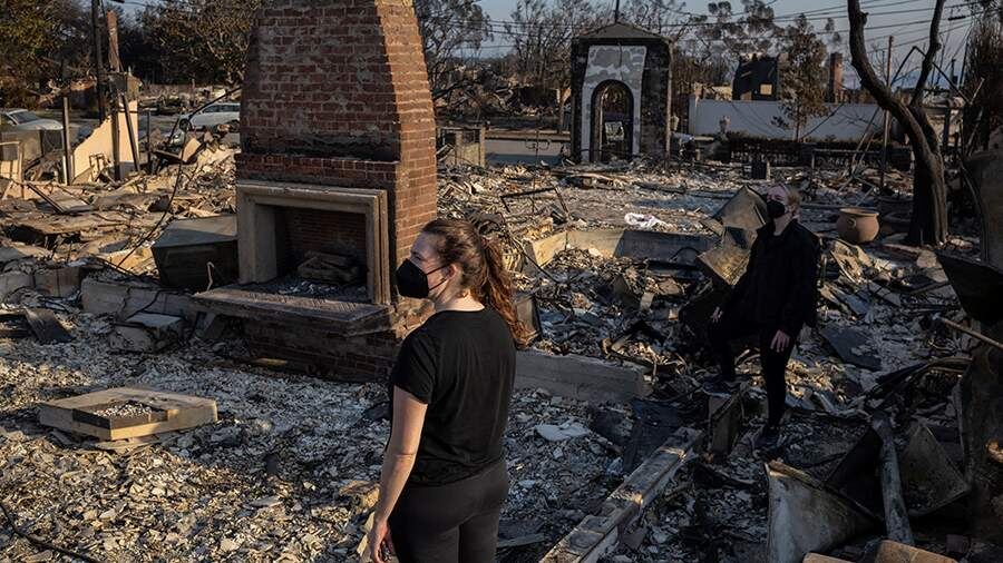 Живые деревья и даже не закопченные камины