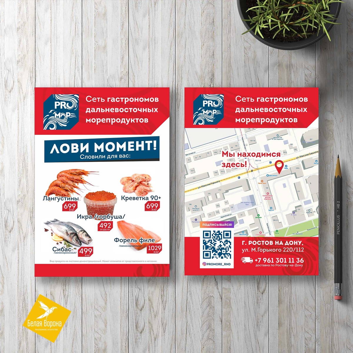 Листовка была сделана в момент работы проекта "Белая Ворона"