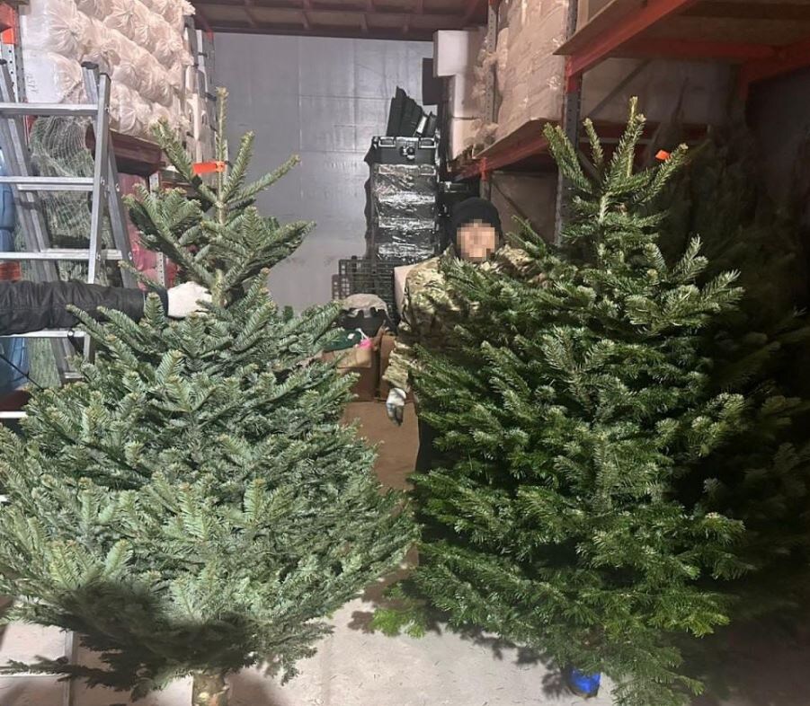 Одна из них та самая ёлка (иллюстрация – фотография с телеграмм-канала Mash)