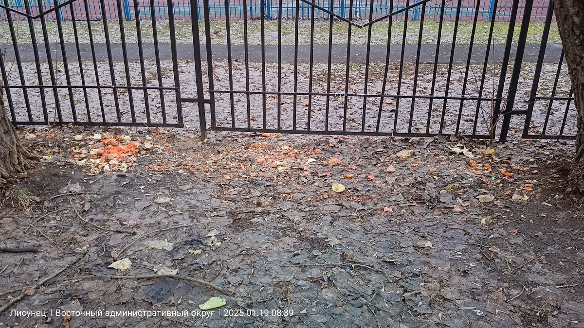 Школьный забор.