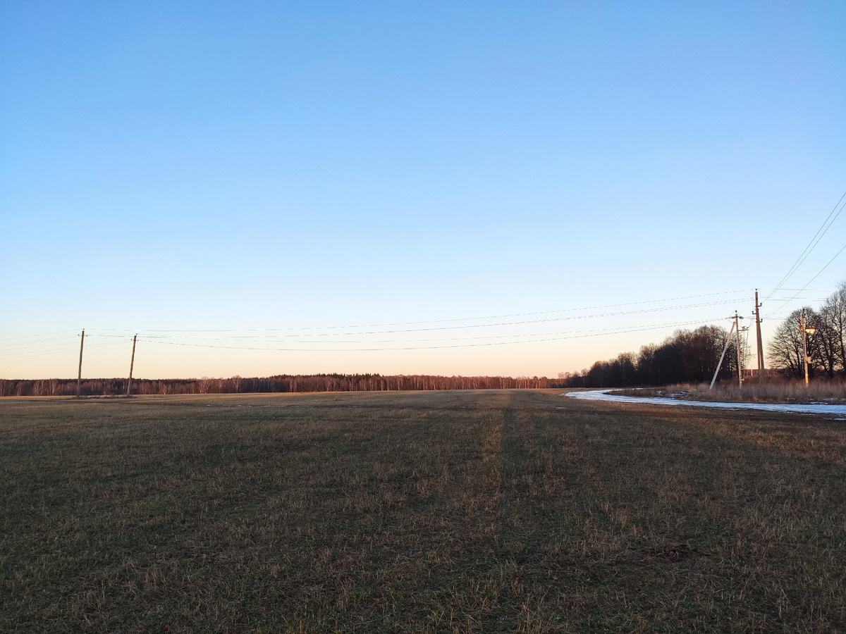 На прогулке,  19 января 2025г