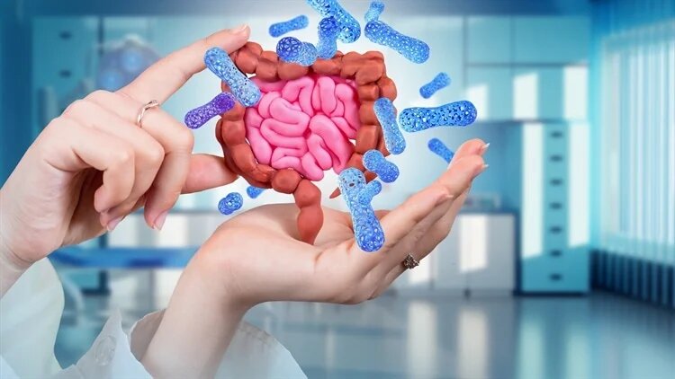 Микробиота кишечника