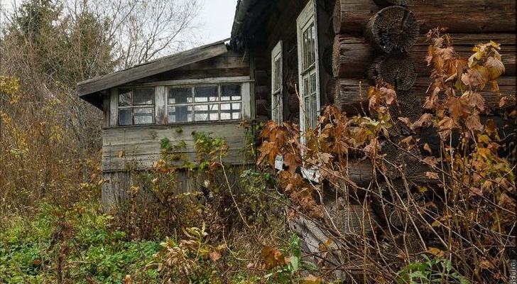 Заброшенный сад. Фото с Pinterest.com