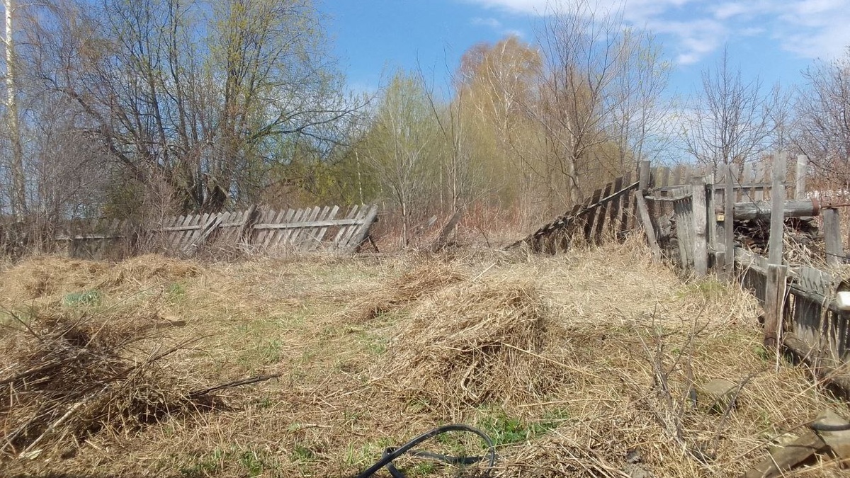 В таком виде был наш сад первоначально.