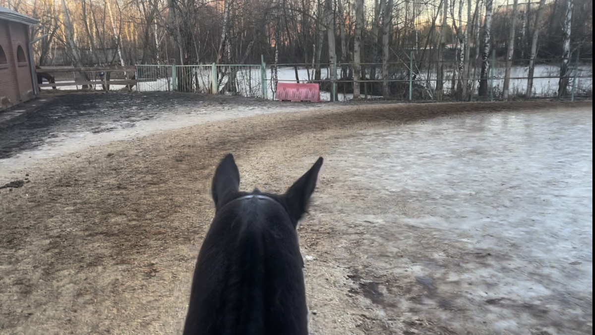 Собственно Гром. 