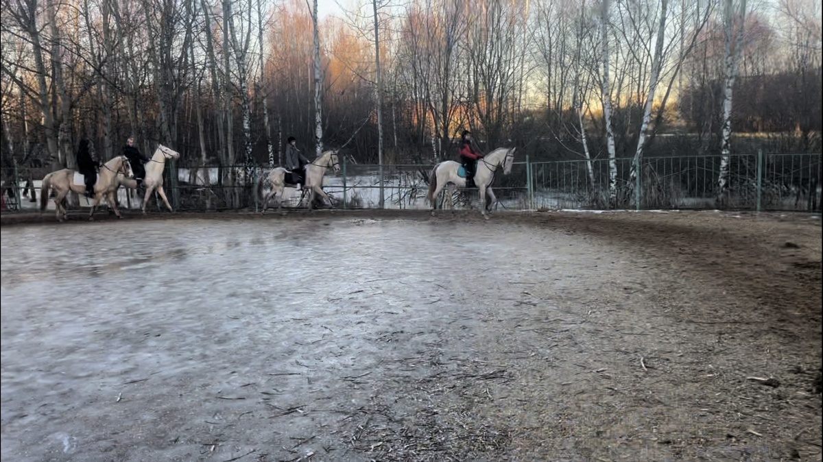 Байрамли, Канагат, Гупта, Калифа - мимолетное фото. 