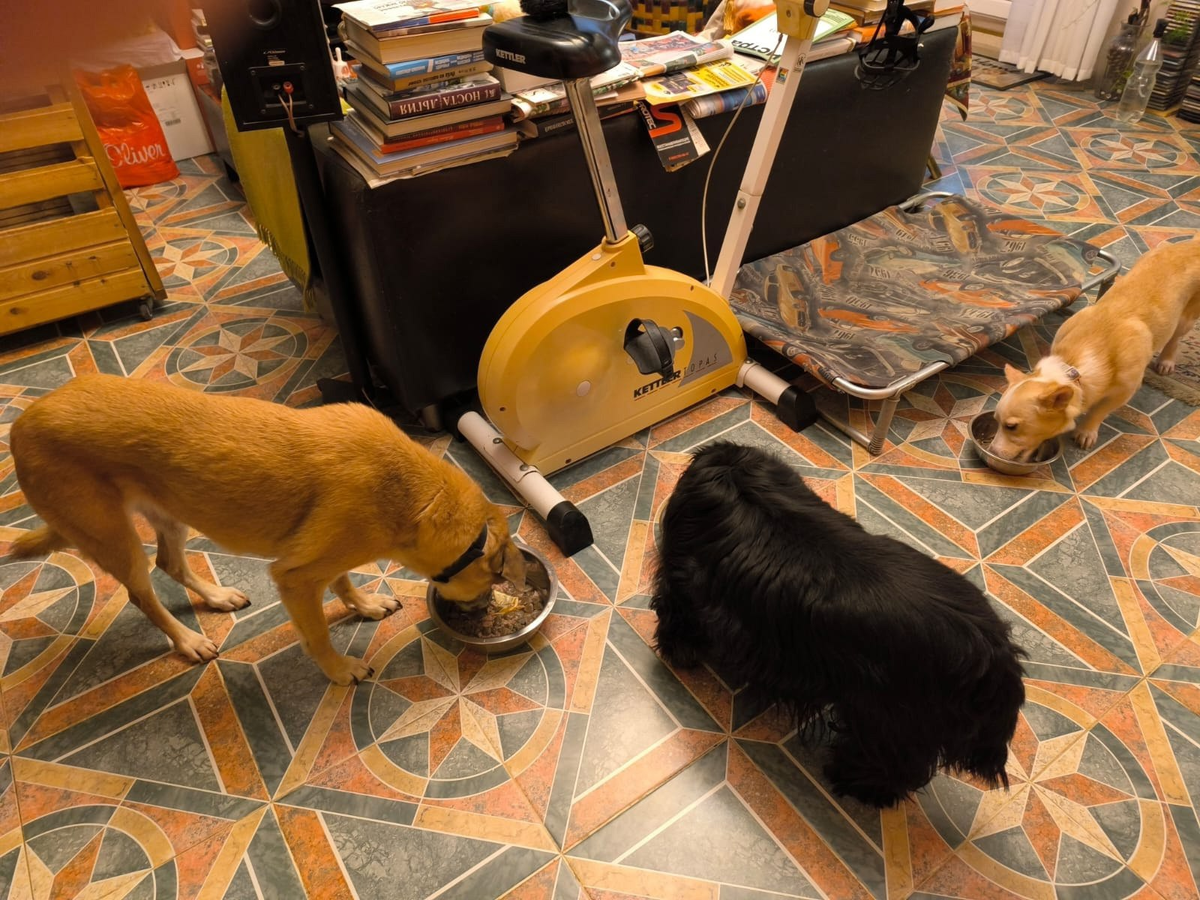 Тимоха кушает...