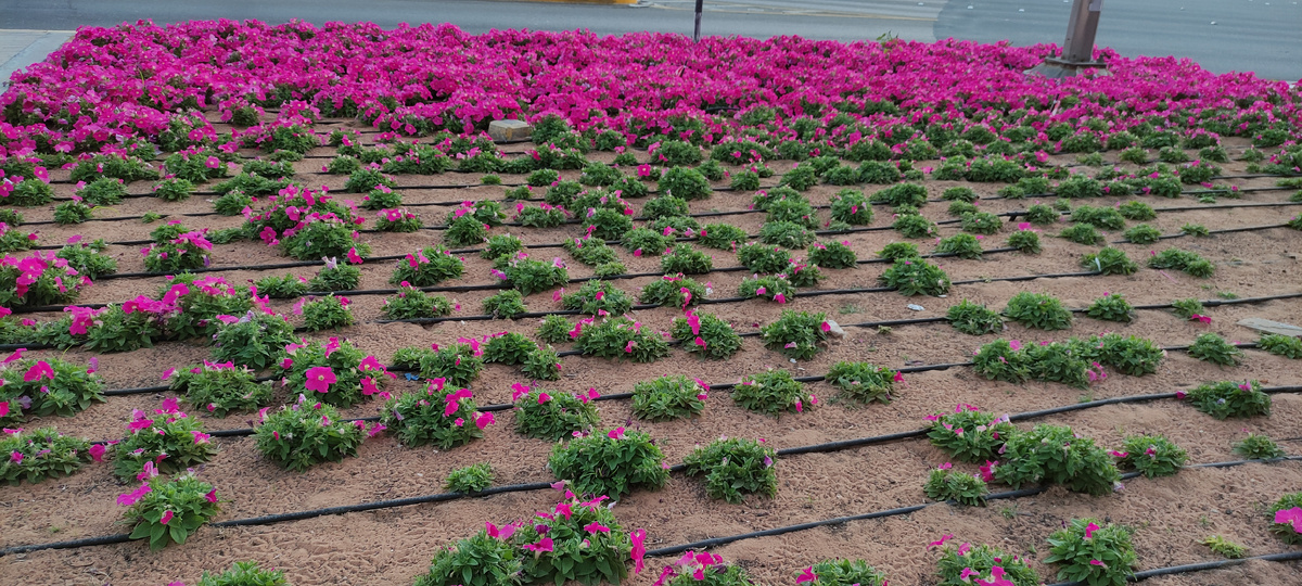 фотография автора канала