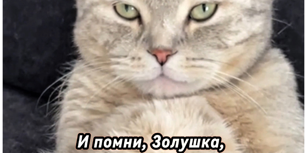 Неизбежные реалии 🙈